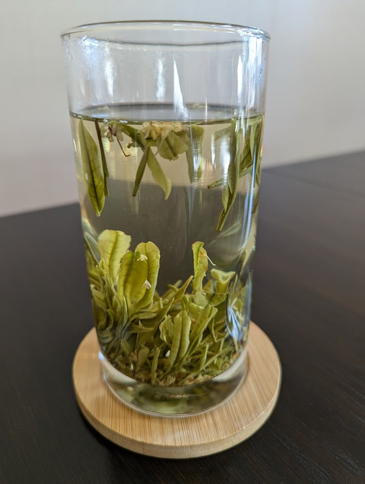Osmanthus Anji White Tea, 0.88 OZ