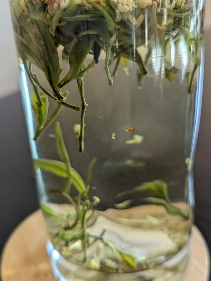 Osmanthus Anji White Tea, 0.88 OZ